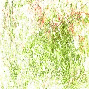 abstract work of art Grasses 11