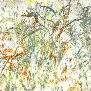 abstract work of art Grasses 15