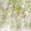 photographic abstract desert art created by combining three images and processing to change the colors and elements