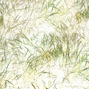 abstract work of art Grasses 7