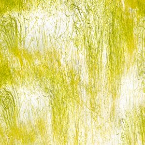 abstract work of art Grasses 9