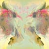 Butterfly or Conversation photographic print