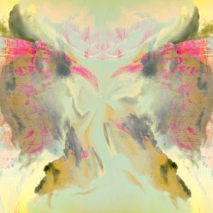 Butterfly or Conversation photographic print