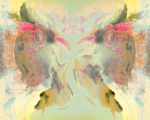 Butterfly or Conversation photographic print