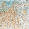 Grasses by the Stream 3 photographic print