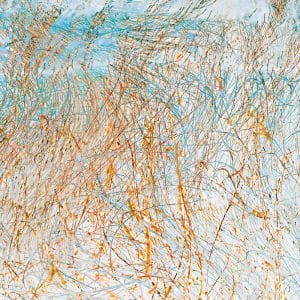 Grasses by the Stream 3 photographic print