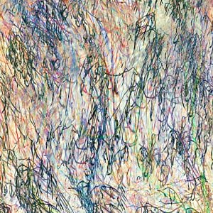 Grasses by the Stream 4 photographic print