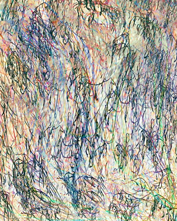 Grasses by the Stream 4 photographic print