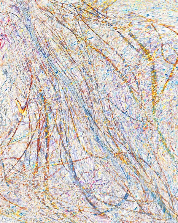 Grasses by the Stream 5 photographic print