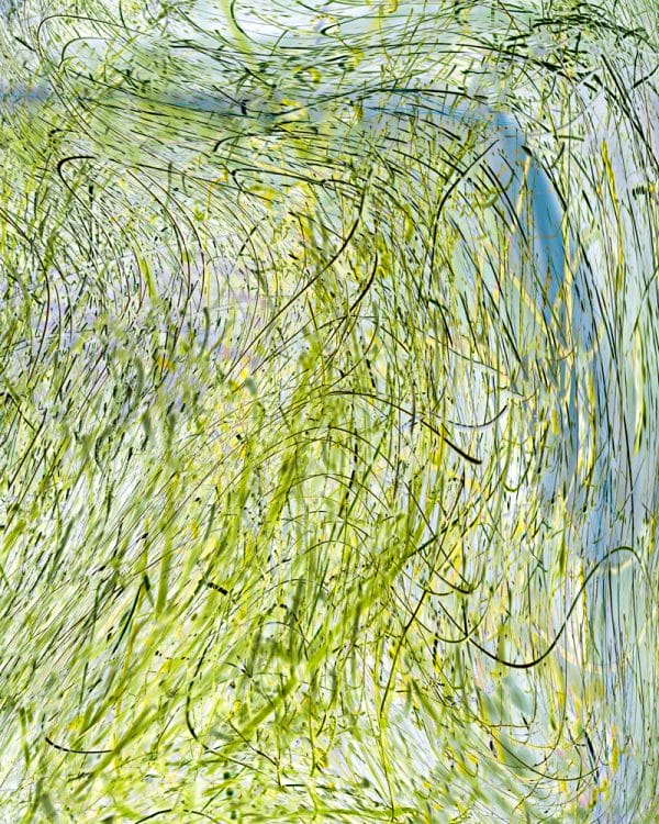 Grasses by the Stream 6 photographic print