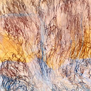 Grasses by the Stream 7 photographic print