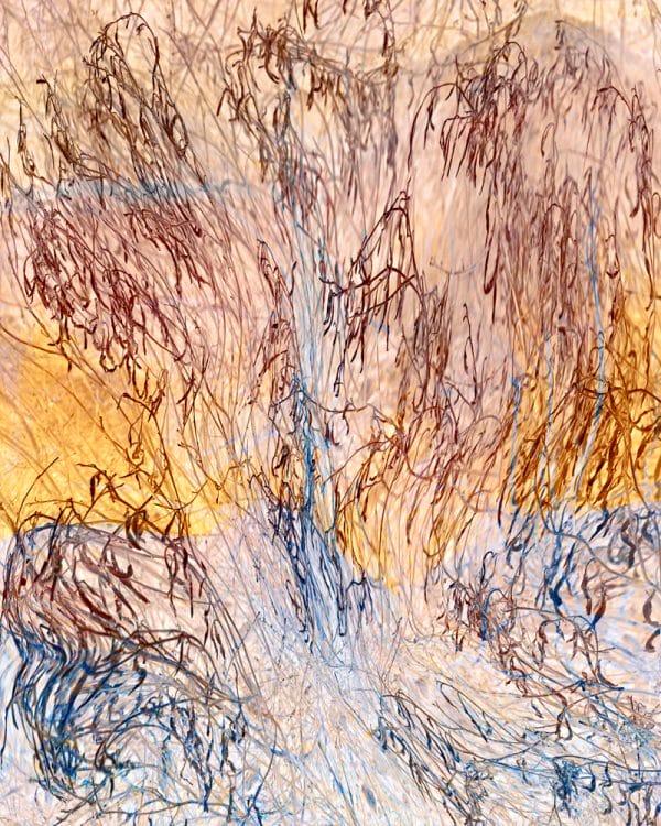 Grasses by the Stream 7 photographic print