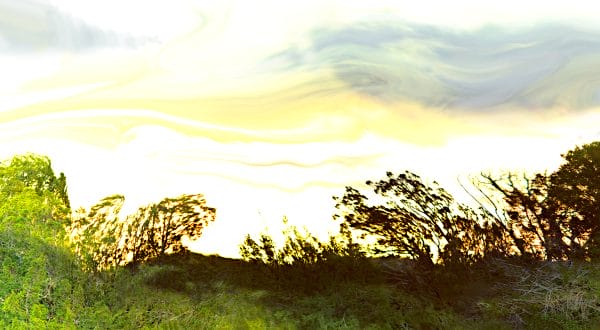 Impression of Morning photographic print