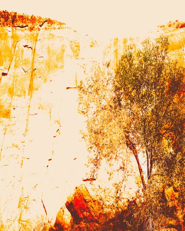 Separated photographic print