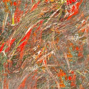 Tangles and Turmoil 1 photographic print