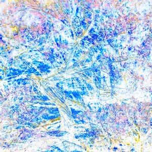 Tangles and Turmoil 2 photographic print