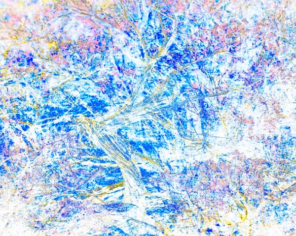 Tangles and Turmoil 2 photographic print