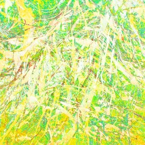 Tangles and Turmoil 3 photographic print
