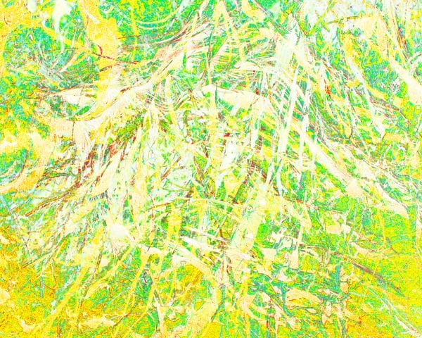 Tangles and Turmoil 3 photographic print