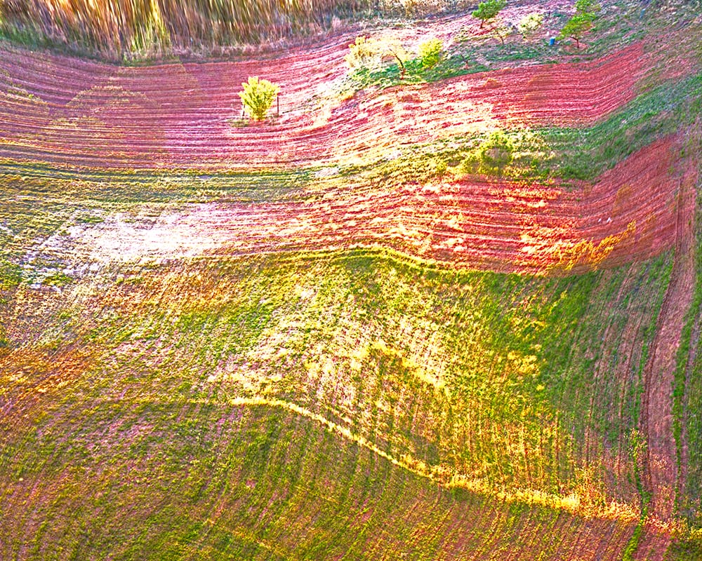 The-Farm-3 The Farm 3 photographic print