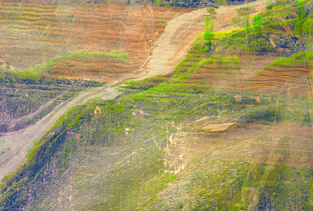 The Farm 4 photographic print