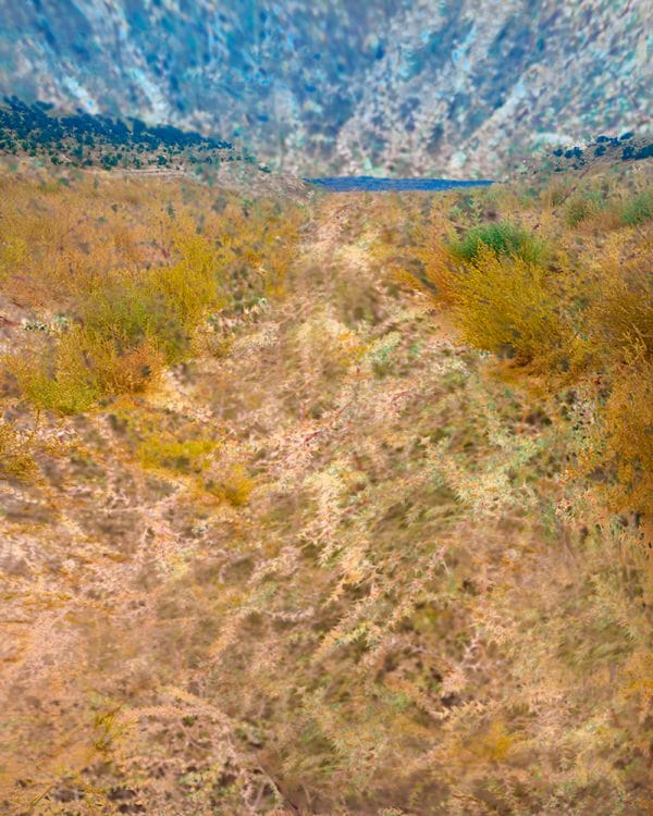 Toward the Lake photographic print