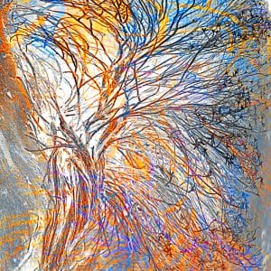 Tree of Life photographic print