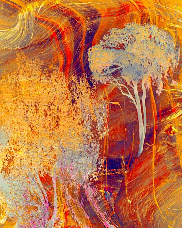 Two Trees Talking photographic print