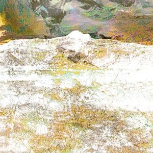 an abstract multiple exposure photography of three desert images combined