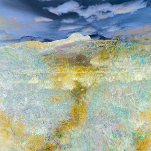 an abstract multiple exposure photography of three desert images combined